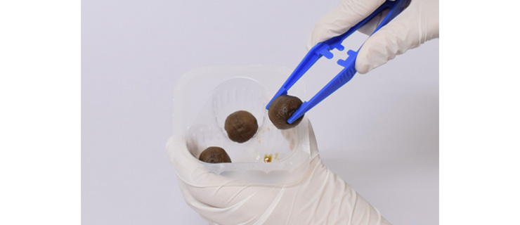 滅菌クローバーカップ綿球メイン画像