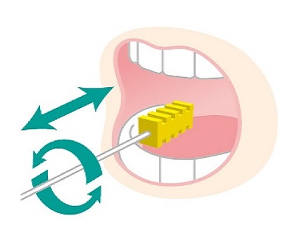 口腔ケアスポンジの使い方 介護のお役立ち イワツキコラム イワツキ株式会社