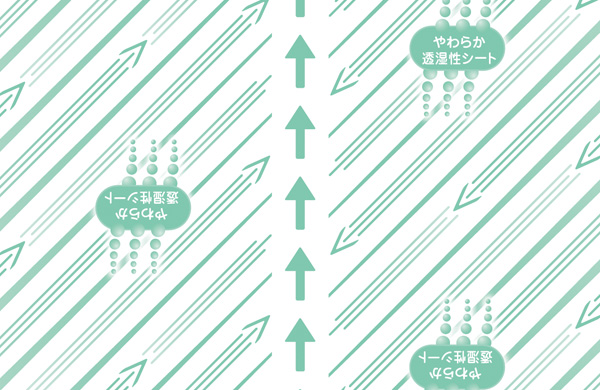 センターライン入り